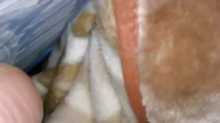 Yeşim Chan ve ücretsiz seks filmi indir mavi külot
