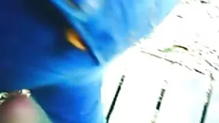 Küstah Japon boyunca en yüksek oy bedava türk sex filmi alan seks sahneleri