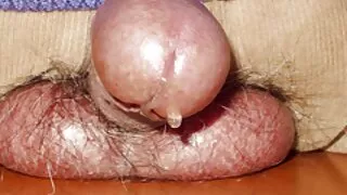 Güzel göğüsleri bedava türk seks filimleri